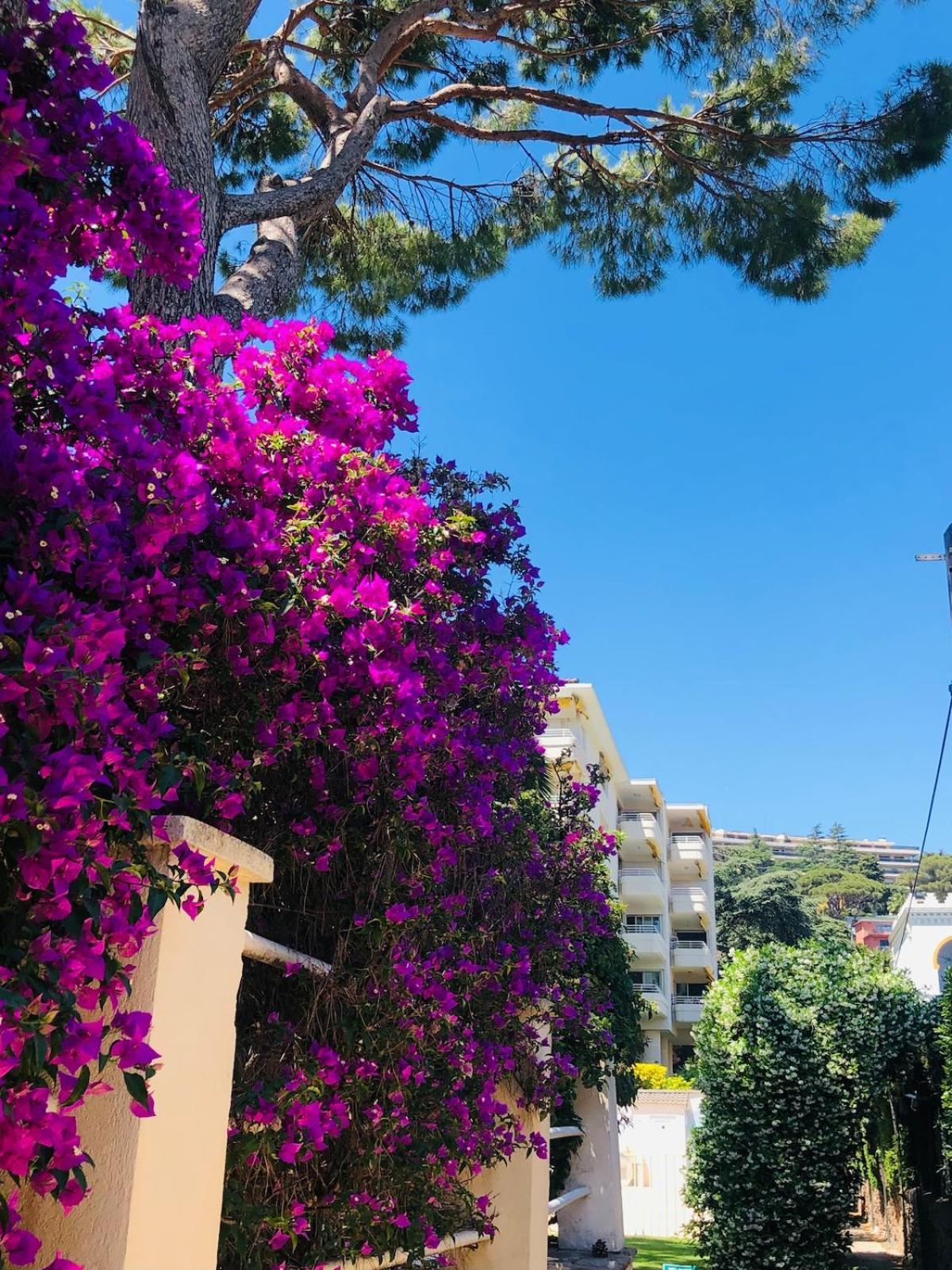 F2 Cannes-beach Sea View Pool Apartment Cannes